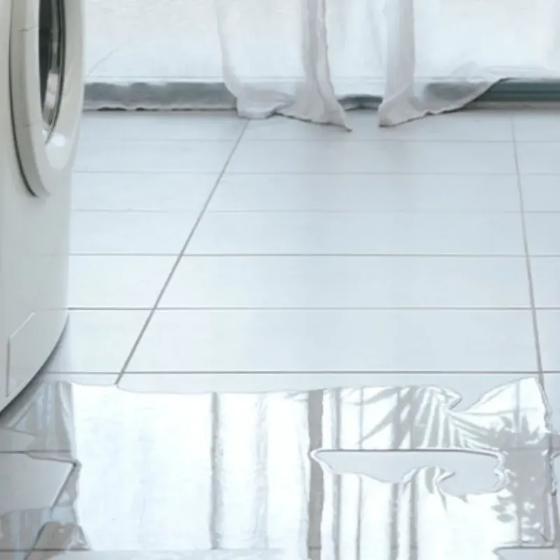 Appliance Leak Cleanup in Laplace, LA
