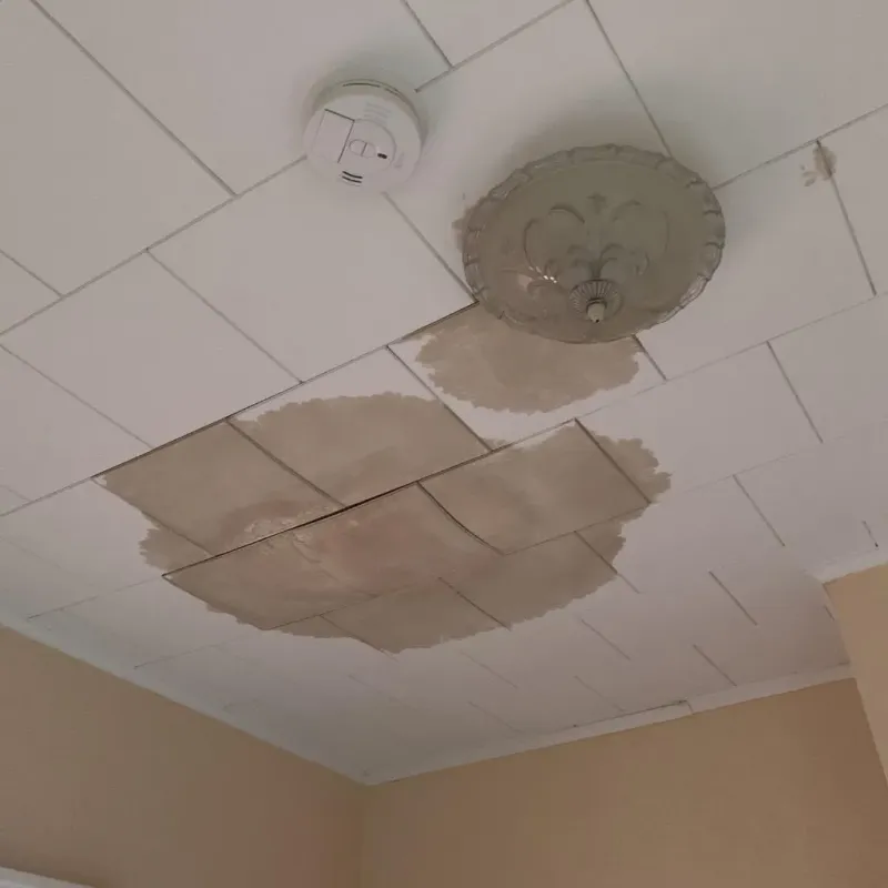 Ceiling Water Damage Repair in Laplace, LA